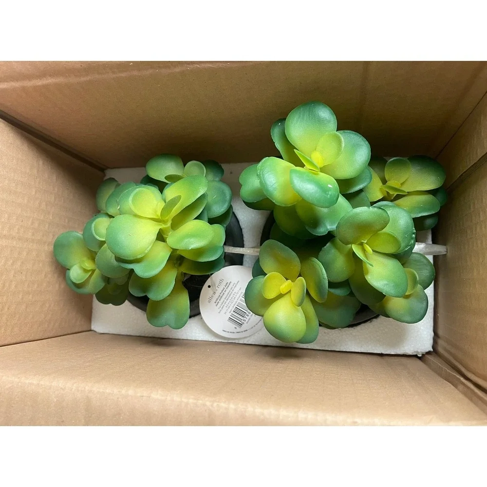 Set of 2 Allen + Roth Artificial Potted‎ Jade Plant 10 Inch Model 961134